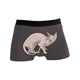 Men's Novelty Boxer Briefs No Ride-up Funny Regular Leg Stretchy Sport Underpants Breathable Comfortable Underwear(M) Sphynx Cats Hairless Cat