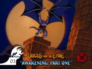 Voices from the Eyrie &ndash; 03 &ndash; Awakening Part One Podcast Por  arte de portada