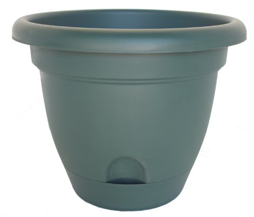 Bloem Living LP1852 6-Pack Lucca Self-Watering Planter, 18-Inch, Midsummer Night
