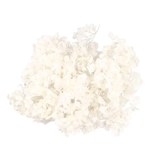 DECHOUS pétalos secos naturales de hortensia 20g miniatura 1
