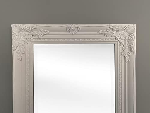 ORNATE WHITE SWEPT SHABBY CHIC STYLE LONG & FULL LENGTH DRESSING MIRROR - VARIOUS (Plain Mirror Glass, 18" x 54")