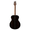 PRS SE T60 Tonare, Natural with Case