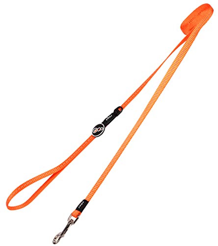 Reflective Dog Leash for Small Dogs, 3/8