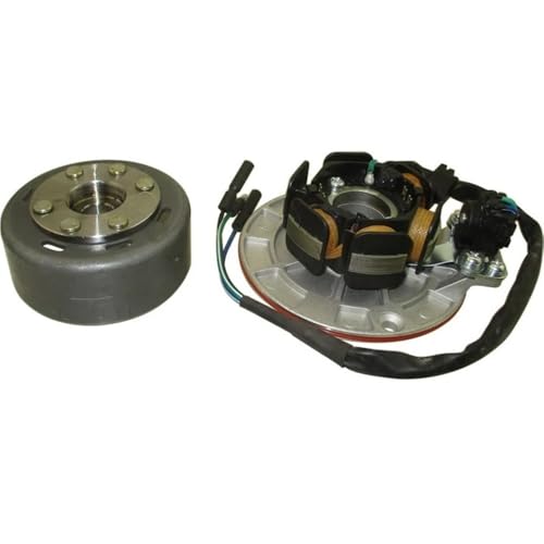 Rotor de stator magnétique sans lumière moteur YX 140cc 150cc 160cc Pit Bike