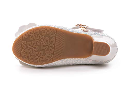 Girls Dress Shoes Glitter Mary Jane Low Heel Princess Flower Wedding Party Dress Pump Shoes for Kids/Toddler4