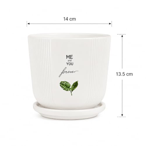 Image of Xtore Signature Ceramic Planter with Drainage Tray | Botanical Quote Print Flower Pot for Home, Study Table, Office Desk & Living Room Decor - (White, 1 Piece, Planter ONLY)