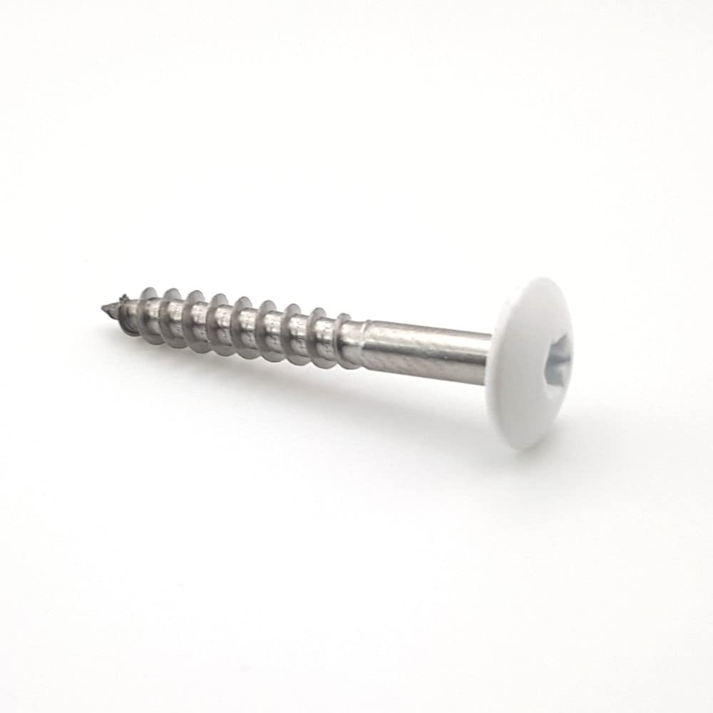 Vis pour panneaux de façade 4,8x38 mm RAL 9016 blanc signalisation Inox A2 par 50