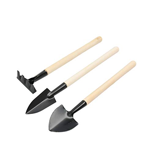 calary Mini Garden Tool Set 3 Pcs Hand Planting Tools Small Shovel/Rake/Spade Succulent Soil Tools...