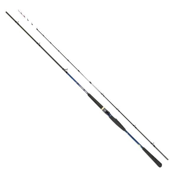 Amazon | ダイワ(DAIWA) 20 極鋭ヒラメ M-240・R 全長2.4m | ダイワ