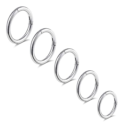 BLISI 5Pcs G23 Titanium Nose Rings 16G/18G/20G Hinged Clicker Segment