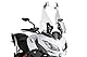 Puig 6320W Spoilerscheibe Clip-on, Transparent, no especificado