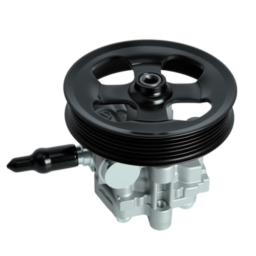 Loautong 20-2402 power steering pump with pulley Compatible with Chrysler 200 2011-2014,for Sebring 2007-2010,for Dodge Avenger 2008-2014, for Journey 2009-2020, 2.0L 2.4L, Replace #5151016AB, 63138N