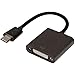 USB-C to DVI Adapter