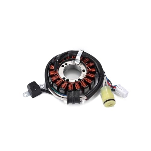 Bobine de stator pour YFM250 résout les pannes de démarrage moto