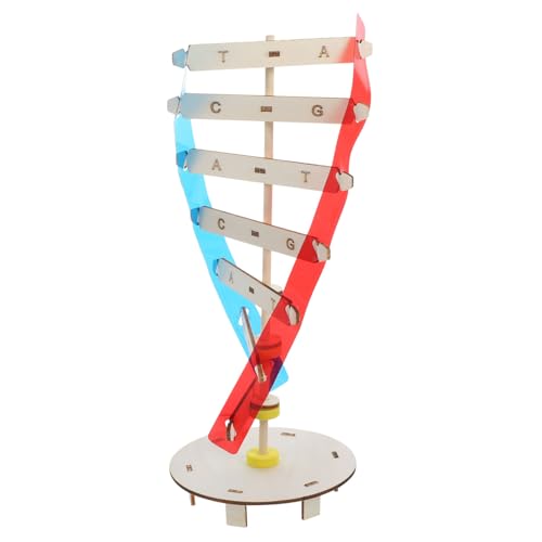BESPORTBLE Plastisches DNA-doppelhelix-Modell Wissenschaftliches Menschliches Gen-Spielzeug Für Junge Mädchen Biologisches Lernmodell Mit Detaillierter Struktur Pädagogisches Klassenzimmer-DN