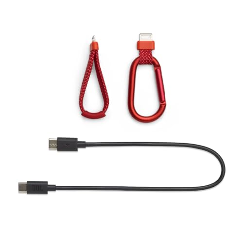 Image of JBL Flip 7 (Red) + Bundle with USB-C Braided Cable