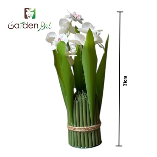 Image of Garden Art Pack of 1 Artificial Phalaenopsis Orchid Bonsai Bunch, 6 Heads, 9 Flowers, 31cm GAAPHOB-6H-31W (White)