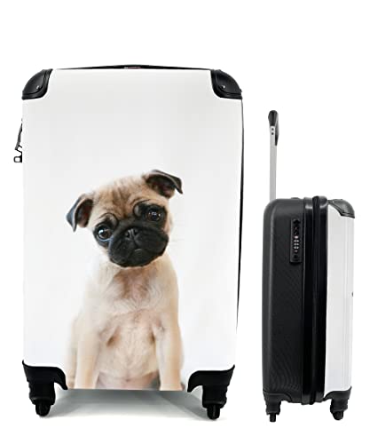 MuchoWow© Koffer Handgepäck Trolley Rollkoffer Kleine Reisekoffer mit 4 Rollen - Hund - Haustiere - Porträt - Cabin Size  55x40x23 & 55x40x20 cm - Fotokoffer - Kabinenkoffer - Boardgepäck