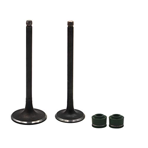 Road Passion Engine Intake & Exhaust Valve stem & Oil seal for DR200 86-17/DF200 96-99/RV200 VAN VAN200 2000-06 07-17/