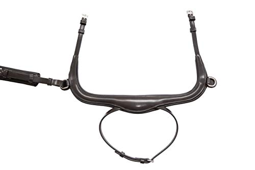 KIEFFER Snaffle Bridle Viola