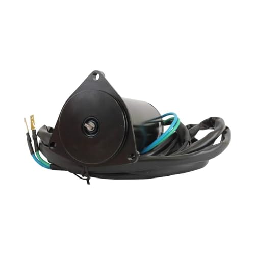 Moteur de trim d'inclinaison indispensable pour naviguer en mer avec E100STL - 4