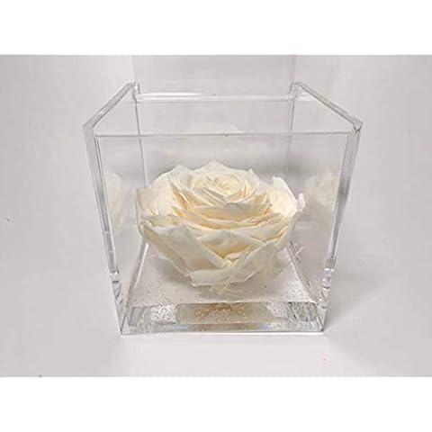 A 1018 Cuberose Würfel Rosa stabilisiert Weiß 10 cm 10 x 10 x 10 cm Der Würfel mit einer echten und ewigen Rose Weiß Cover