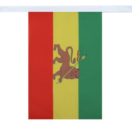 Image of AZ FLAG Ethiopia with lion 6 meters BUNTING Flag 20 flags 9'' x 6'' - Lion of Judah Ethiopian STRING flags 15 x 21 cm