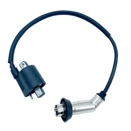 Bobina de encendido para moto 250cc, quad y ATV BS200S-7