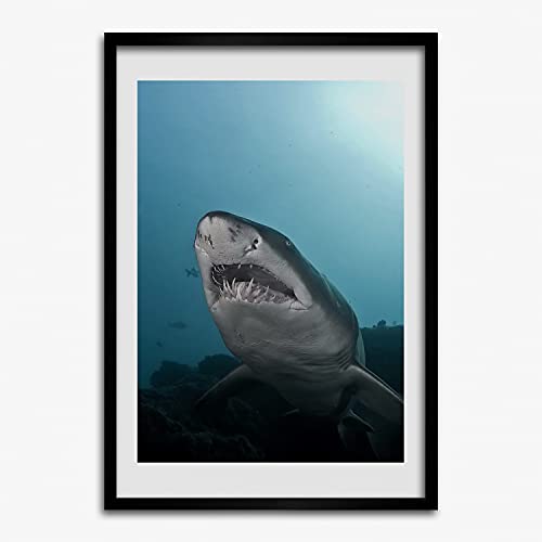 Tableau cadre en bois 50x70 cm Tulup grand requin pour décoration salon