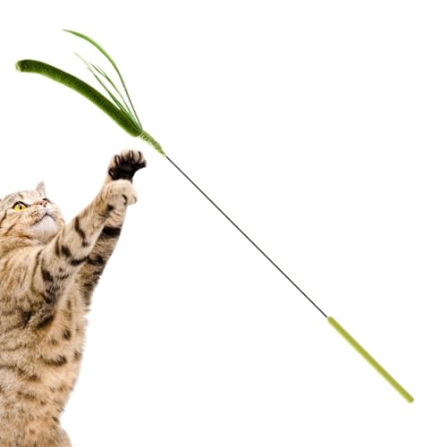 Lp̔L̏ - V~[gꂽZ^AqL̂_|ASetaria CateB[U[|L̉HXeBbN|_ȏt̔LeB[U[gC|L̐g̃g[jOƃvCCp̒ʂ݃bh