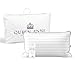 Queen Anne Luxury Hotel Down Alternative Pillow - Majesty Down - Synthetic Allergy Free Hypoallergenic Bed Pillow - Made in USA (Standard Firm)