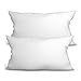 Cuscino trapuntato in microfibra 40x60 cm - per chi soffre di allergie Bianca 2 è SET