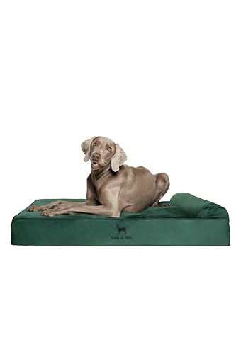 NOAH & PAW XL Dog Bed, 45x35x11 Inch, Orthopedic Large Dog Beds, Eggshell Memory Foam Infused with Cooling Gel, Waterproof, Machine Washable, Includes Inner Cover (Velvet Collection)