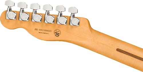 Player Plus Telecaster MN 3-Color Sunburst - Les Beatles, Paul McCartney, John Lennon, RIngo Starr, George Harrison Player Plus Telecaster MN 3-Color Sunburst – Image 7
