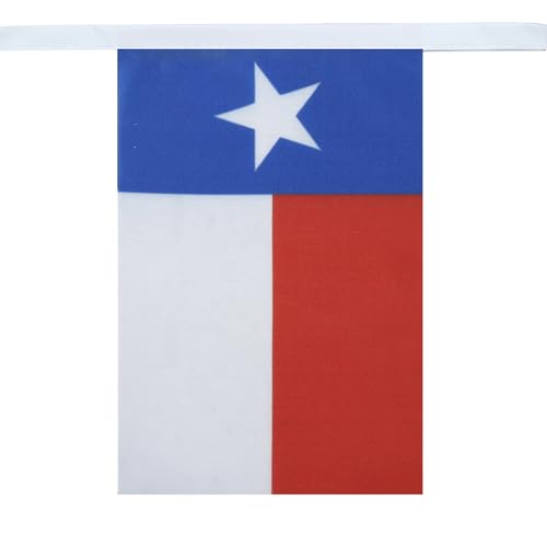 Image of AZ FLAG Texas 6 meters BUNTING Flag 20 flags 9'' x 6'' - Texan US state STRING flags 15 x 21 cm