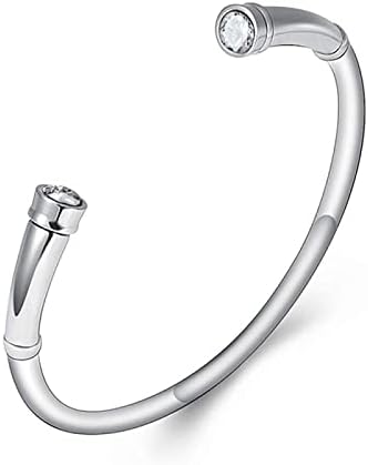 Cremation Memorial Pet Ashes Urn Bracelet for Ashes Birthstone Into Two Screws Stainless Steel Cremation Jewelry for Women image 3