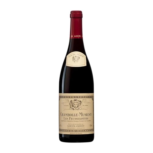 Louis Jadot Premier Cru Les Feusselottes: Pinot Noir Chambolle-Musigny 75cl Louis Jadot Premier Cru Les Feusselottes: Pinot Noir Chambolle-Musigny 75cl