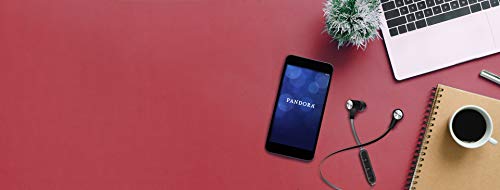 Maxell Bass 13 Black Bluetooth Wireless Earbuds, 3 Hours Of Talk/Play Time, Rubberized Earbuds, Volume Control (B13-Eb2), Small #TOP5