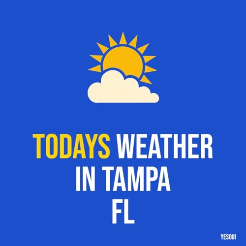 Todays weather in Tampa FL Titelbild
