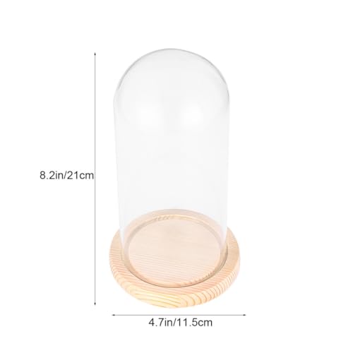 Cúpula de cristal transparente para proteger manualidades del polvo 8