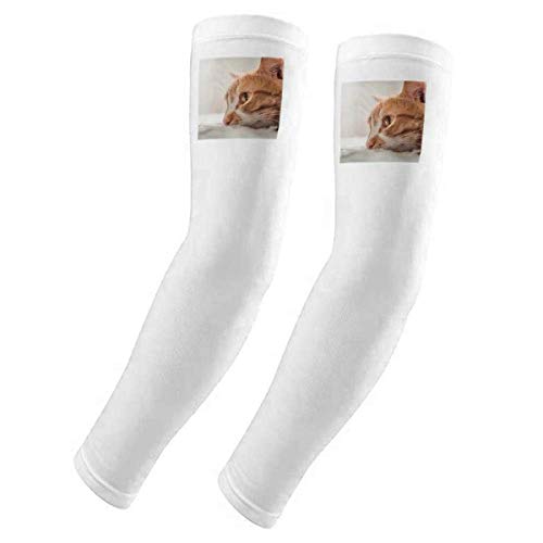 Funda para brazo con protección solar UV de gato protege la piel sensible del sol veraniego
