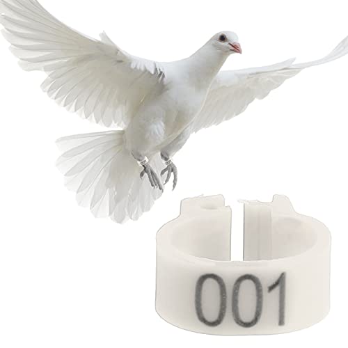xctopest Faixas de perna de frango, etiquetas de frango para pernas, plástico, resistente ao desgast