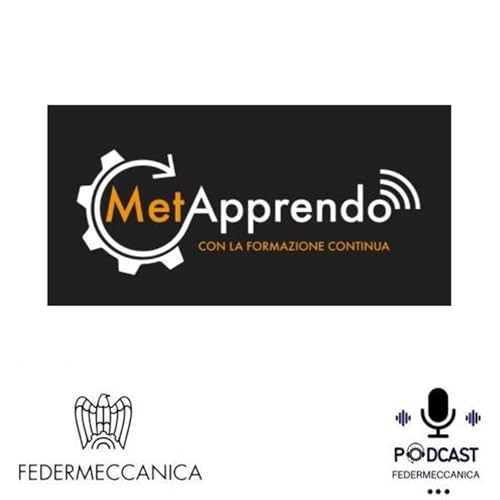 Metapprendo cover art