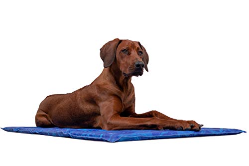 TrendPet Arctic Comfort - 20mm Premium Kühlmatte für Hunde, Hundekühlmatte, selbstkühlende Matte für Haustiere, 5 Größen, Extra dick (110x70cm)