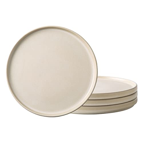Photo 1 of AmorArc Stoneware Dinner Plates Set of 4