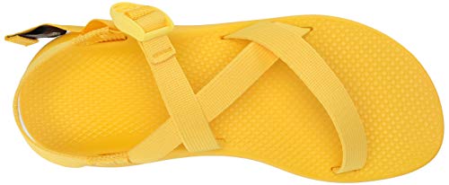 Image of Chaco Women's Z1 Classic Sandal