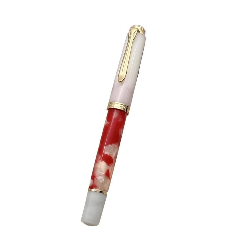 Stylo plume à piston acrylique fini l'encre qui bave pointe F
