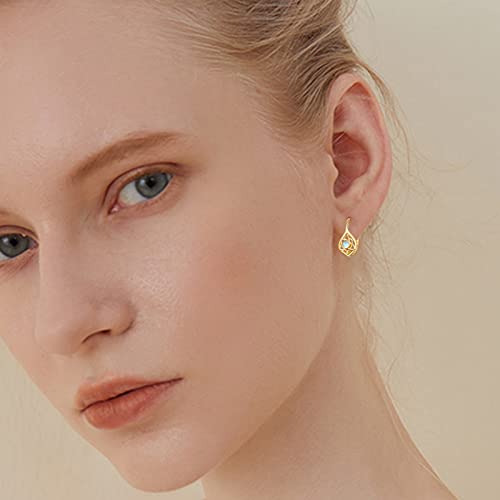 Starsinsky 18K Gold Celtic Moonstone - Hoop Earrings Hypoallergenic Leverback Teardrop Earrings Jewelry Gifts For Women Girls #TOP2