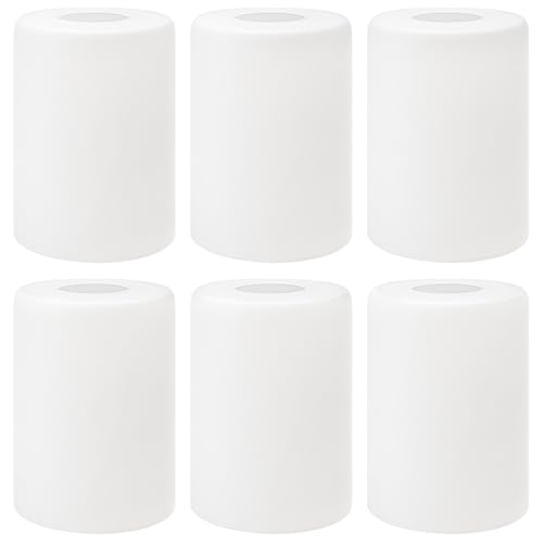Hedume 6 abat-jour verre dépoli 5.5", remplacement luminaire