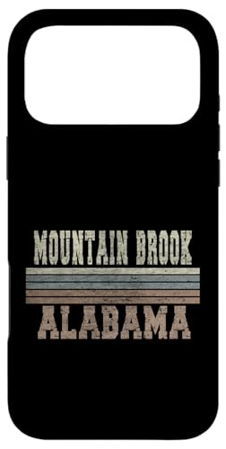 Retro Mountain Brook �A���o�} �X�}�z�P�[�X iPhone 17 Pro Max �p